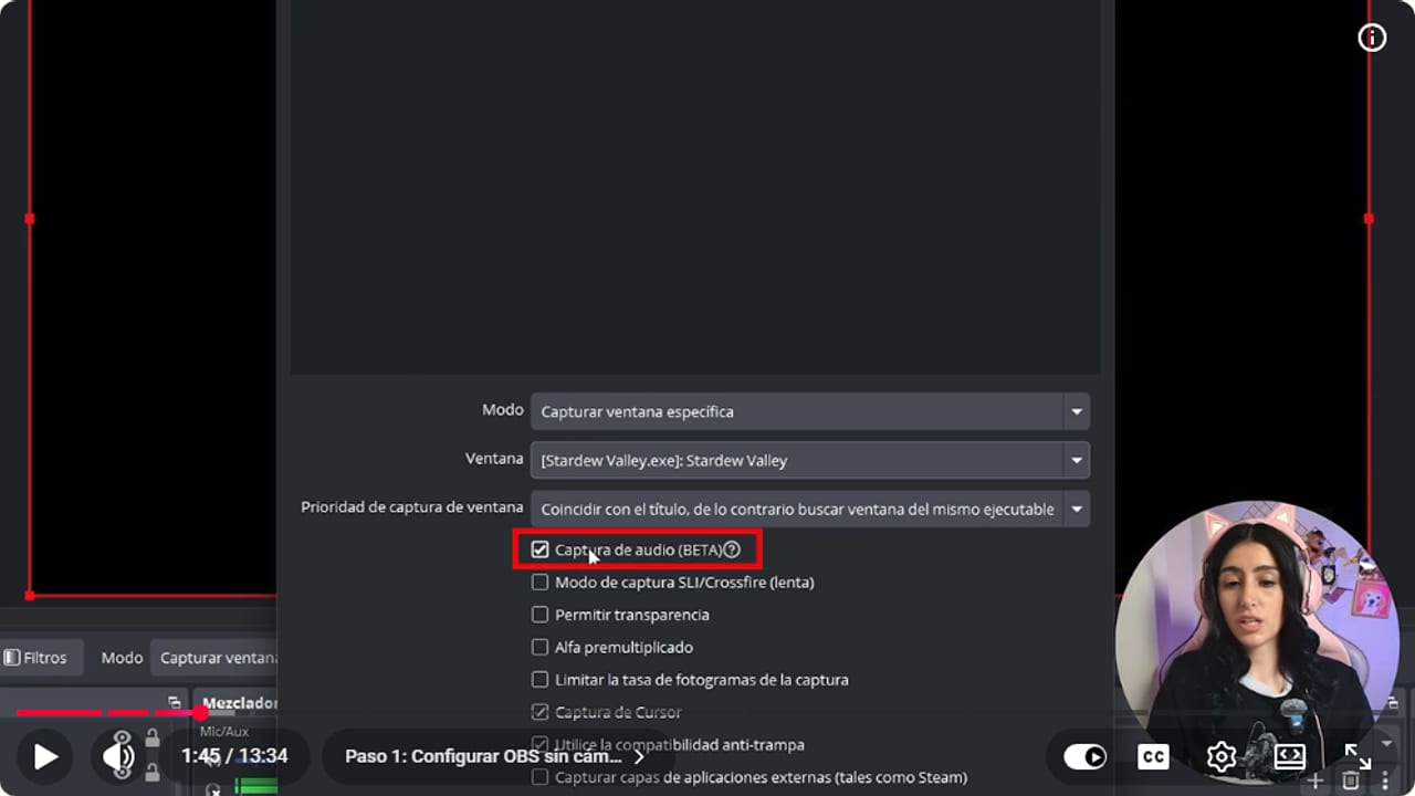 OBS Game Capture properties with the Stardew Valley window selected and Capture Audio (BETA) ticked