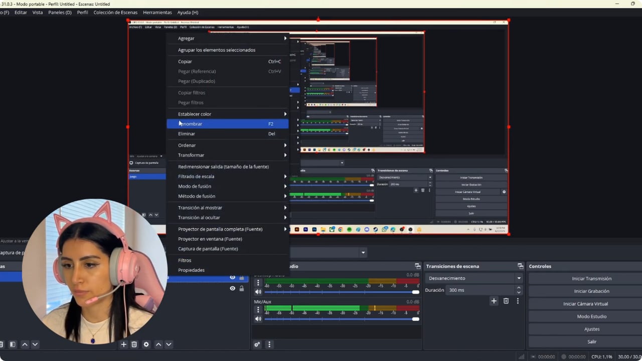 Propiedades de cámara y lienzo de OBS durante el tutorial de Nicole